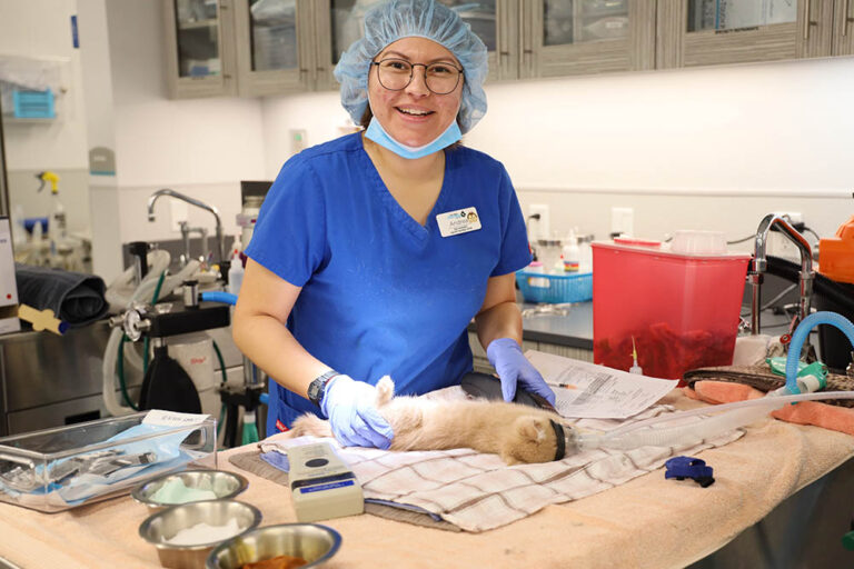 clinic staff with a kitten