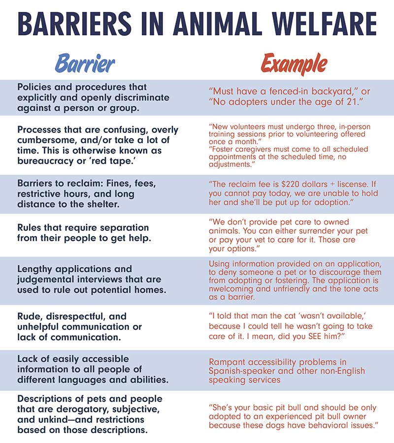 Barriers in Animal Welfare Blog Graphic