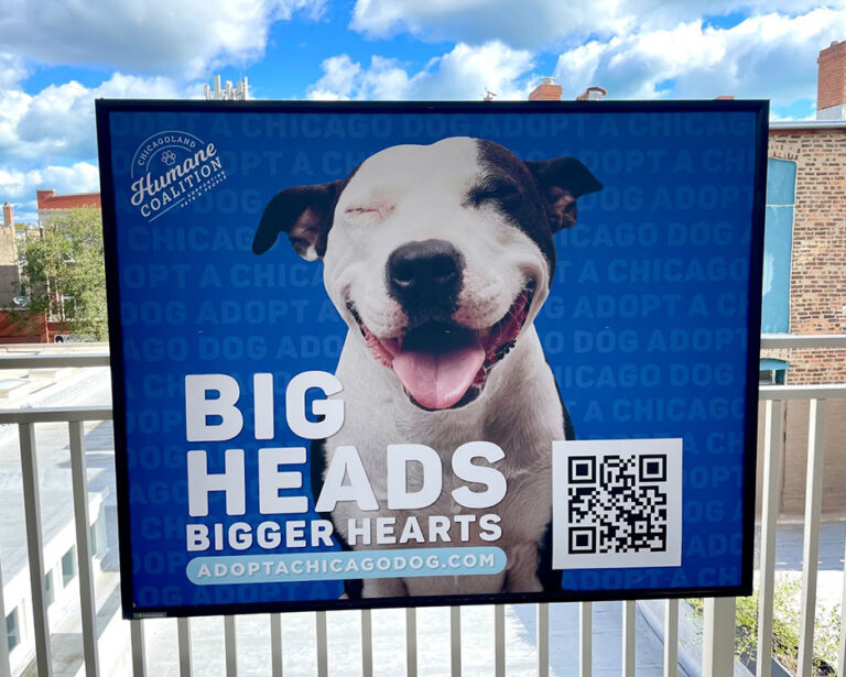 Big-Heads-Sign-10 Ways Shelters and Rescues Can Use QR Codes Today