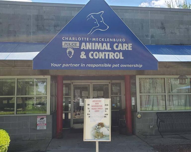 Charlotte-Mecklenburg Animal Care and Control