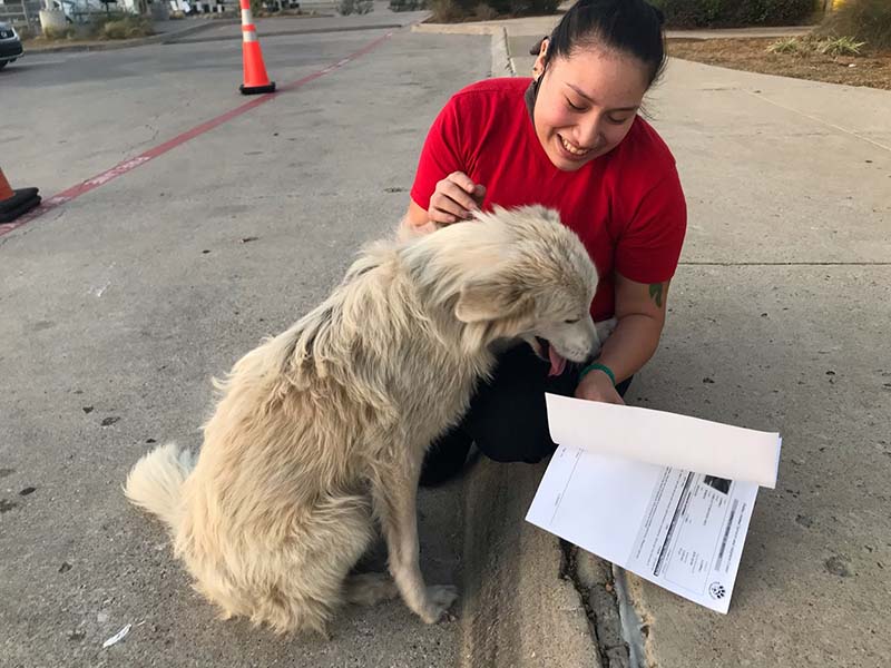 Charlotte and her owner