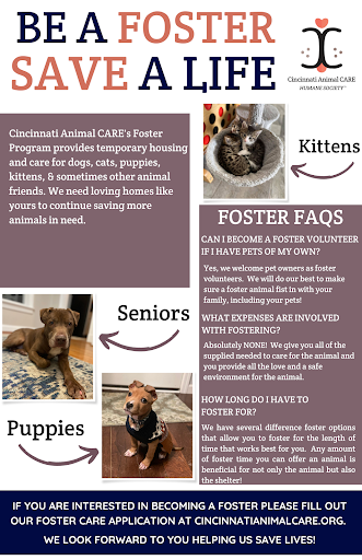 Be a foster save a live infographic