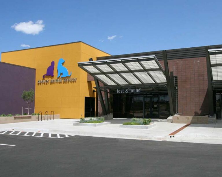 Denver Animal Protection