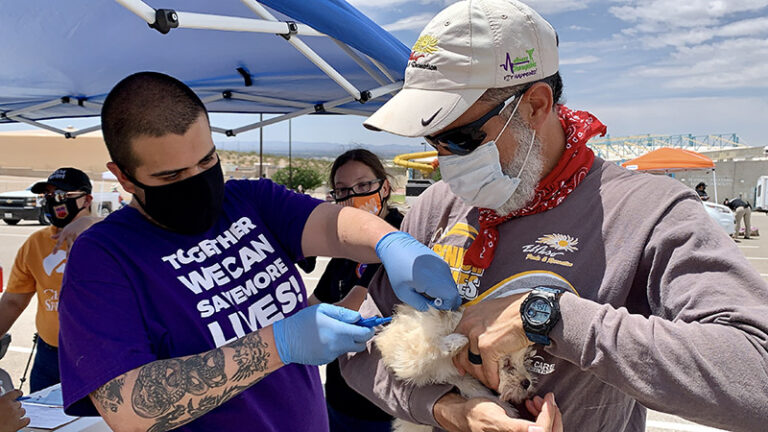 man with tattoos wearing mask giving vaccine to small dog
