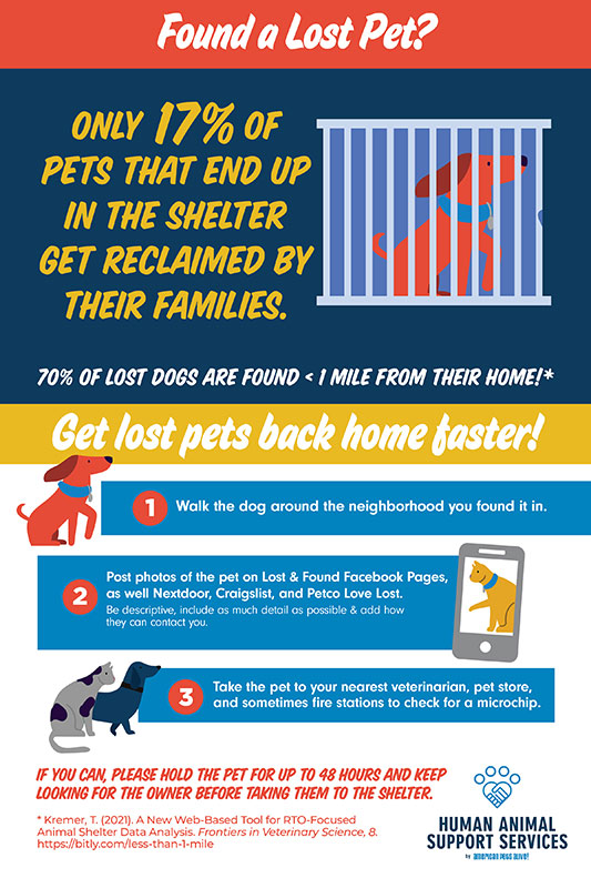 Found a Lost Pet Infographic