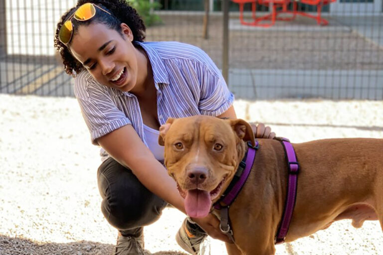 HASS Education and Implementation - Intake to Placement - Person petting a dog outside of Pima Animal Care Center