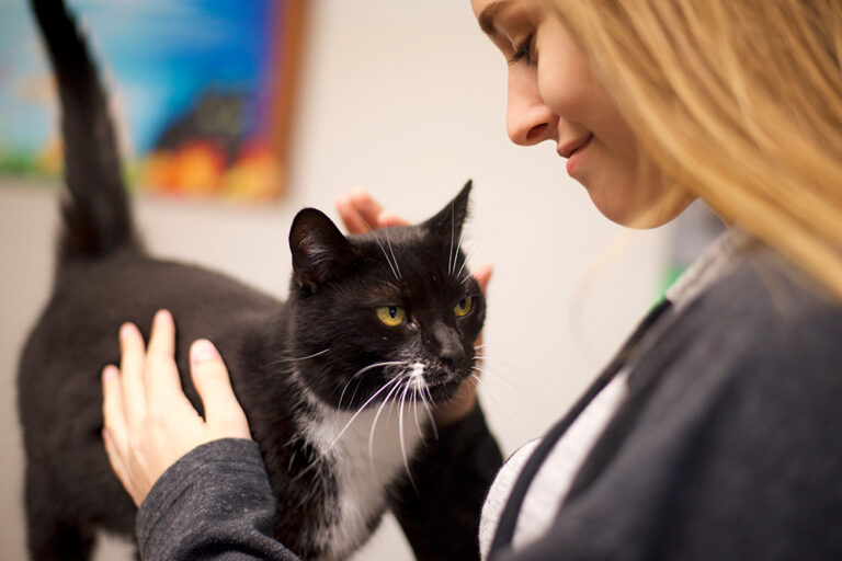 HASS Education and Implementation - Supported Self-Rehoming - Woman petting a black cat