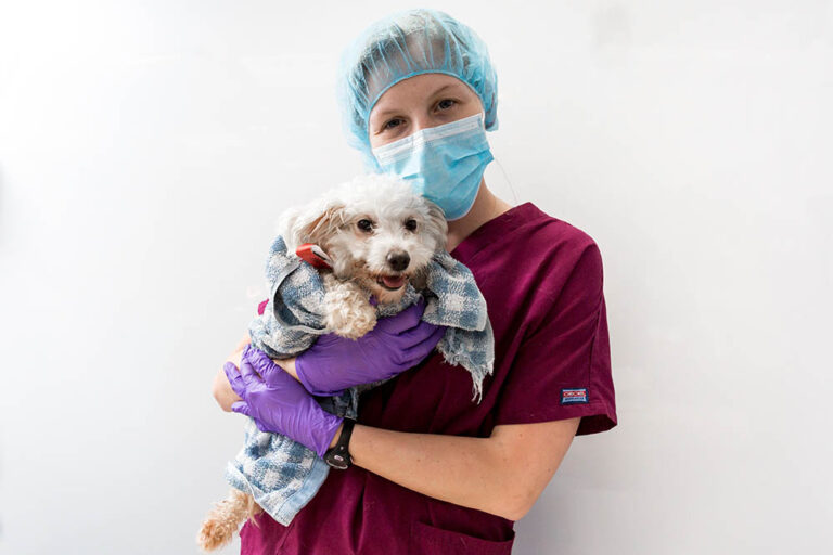 clinic staff wearing red scrubs and PPE holding a small white-ish dog