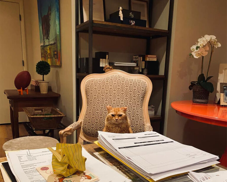 Cat sitting at a desk | Here's a Year's Worth of Free Communications Kits, Plus a Communications Calendar