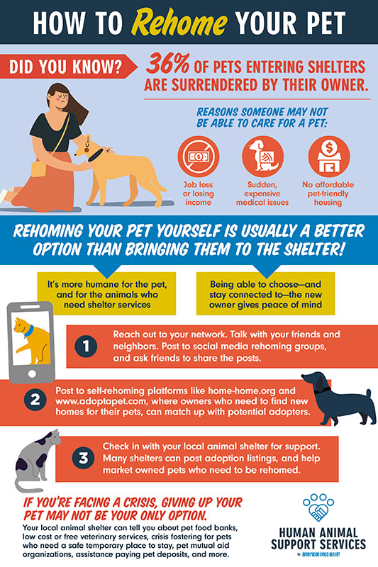 How to Rehome Your Pet Infographic