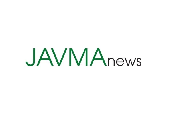 JAVMAnews Logo