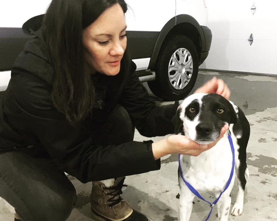 Jordana Moerbe petting a white and black dog - Here’s How Your Shelter Can Get Help With Basically Anything, for Free