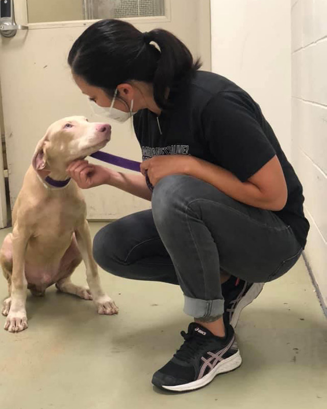 Jordana with a white dog - Here’s How Your Shelter Can Get Help With Basically Anything, for Free