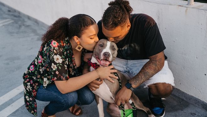 African american couple kissing a gray and white dog - Keeping Families Together - HASS and HeARTs Speak Communications Kits