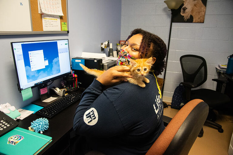 Woman sitting at a desk, snuggling a kitten.