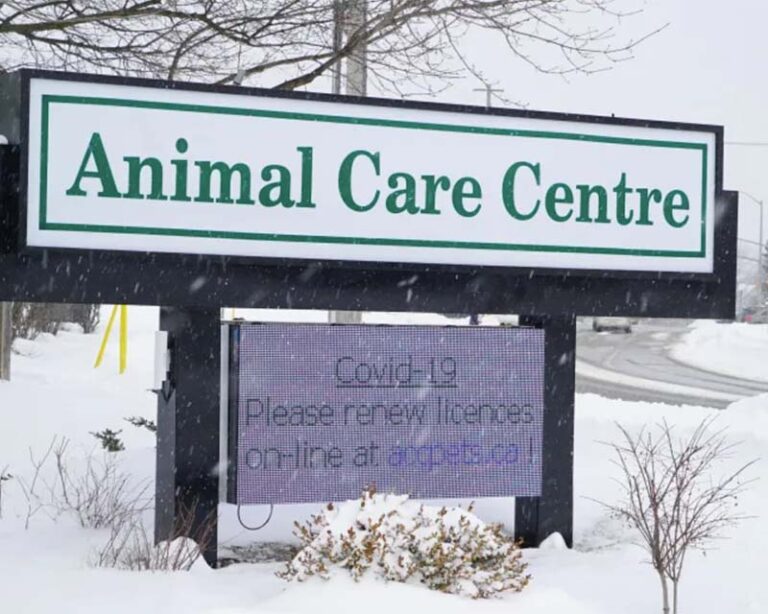 London Animal Care Centre Sign