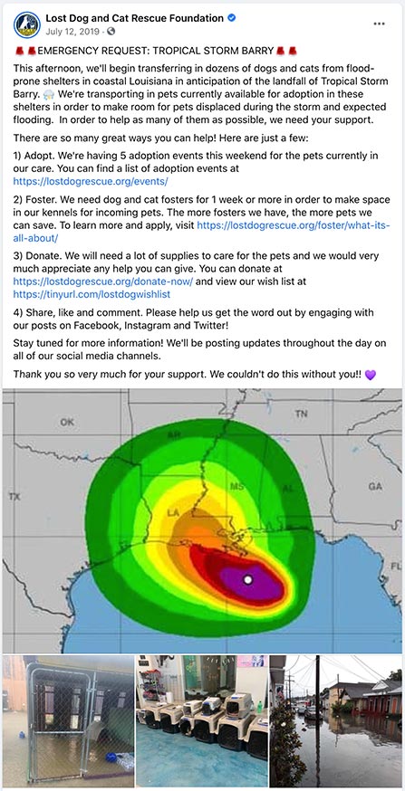 Lost Dog and Cat Rescue Foundation Social Post - "🚨🚨EMERGENCY REQUEST: TROPICAL STORM BARRY🚨🚨
This afternoon, we'll begin transferring in dozens of dogs and cats from flood-prone shelters in coastal Louisiana in anticipation of the landfall of Tropical Storm Barry. ⛈ We're transporting in pets currently available for adoption in these shelters in order to make room for pets displaced during the storm and expected flooding.  In order to help as many of them as possible, we need your support.
There are so many great ways you can help! Here are just a few:
1) Adopt. We're having 5 adoption events this weekend for the pets currently in our care. You can find a list of adoption events at https://lostdogrescue.org/events/
2) Foster. We need dog and cat fosters for 1 week or more in order to make space in our kennels for incoming pets. The more fosters we have, the more pets we can save. To learn more and apply, visit https://lostdogrescue.org/foster/what-its-all-about/
3) Donate. We will need a lot of supplies to care for the pets and we would very much appreciate any help you can give. You can donate at https://lostdogrescue.org/donate-now/ and view our wish list at https://tinyurl.com/lostdogwishlist
4) Share, like and comment. Please help us get the word out by engaging with our posts on Facebook, Instagram and Twitter!
Stay tuned for more information! We'll be posting updates throughout the day on all of our social media channels.
Thank you so very much for your support. We couldn't do this without you!! 💜"