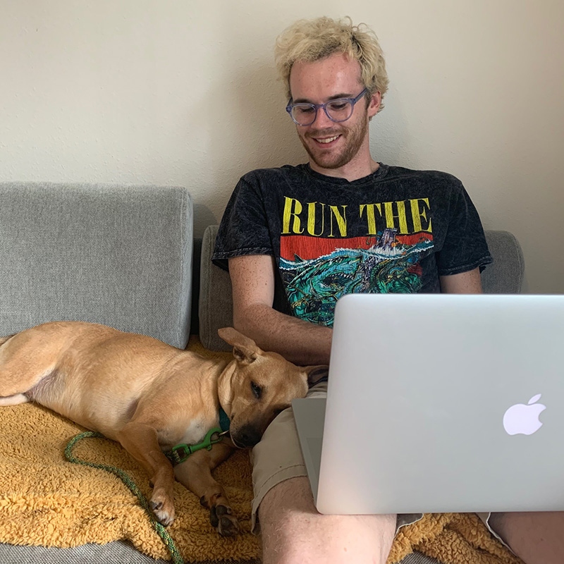 man using laptop with tan dog sleeping on his leg
