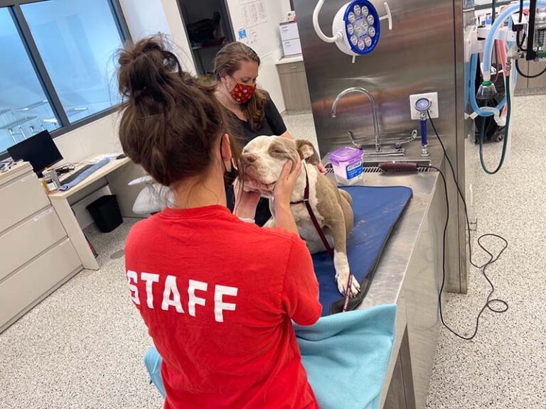 Mugsy with staff in the clinic