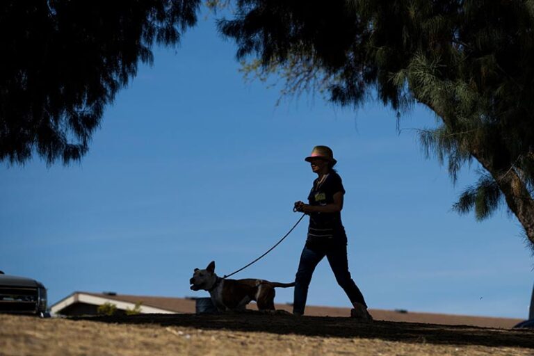 A volunteer at Pima Animal Care Center takes a dog for a walk.