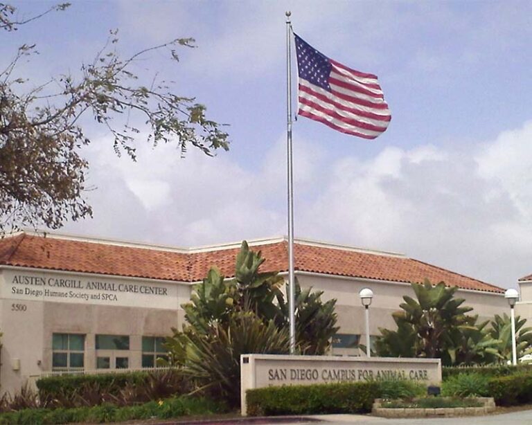 San Diego Humane Building