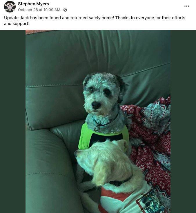Screen Shot 2021 11 17 at 9.37.14 AM - Lost Dog? Volunteer Pet Detectives Are on the Case—From the Comfort of Home