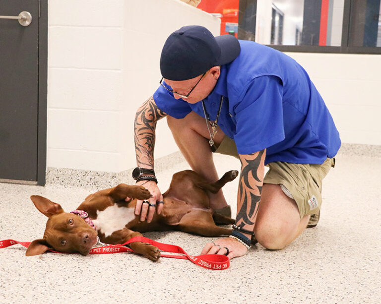 Sharing Stories, Shaping the Future- A HASS Town Hall - vanilla bean getting a belly rub