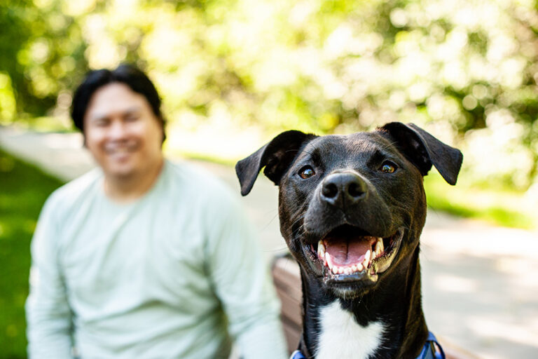 There’s Likely a Better Way to Get Lost Pets Home: Public RTH