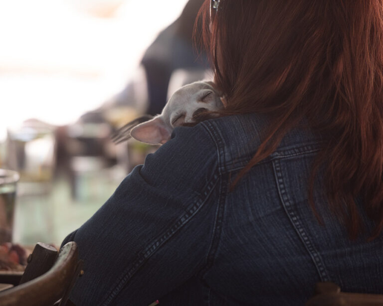 Where We Find Hope and a Call to Action in the (Pretty Dismal) 2022 Shelter Data - woman holding small dog