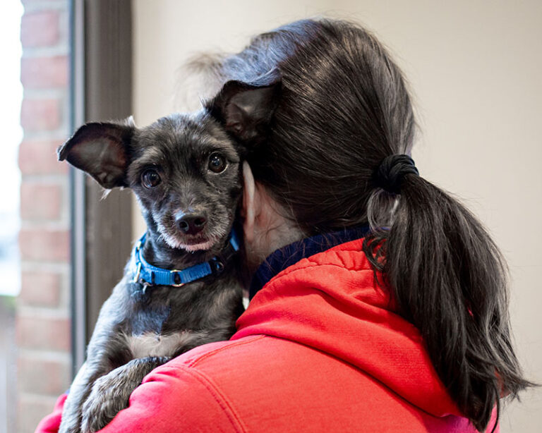 Woman holding dog - Navigating Compassion Fatigue in Animal Welfare- How to Combat Burnout and Enhance Resiliency