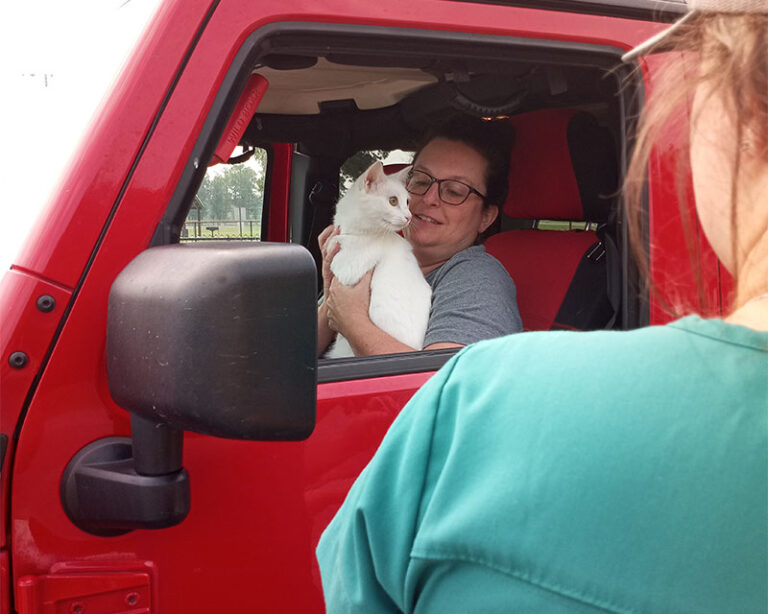 Woman with a cat in a red vehicle. Another woman in a green shirt standing outside with her back to the camera. - Changing the Way We Work