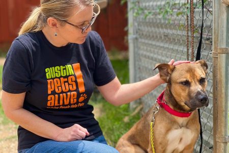 HASS Education and Implementation - Woman petting a dog at Austin Pets Alive!