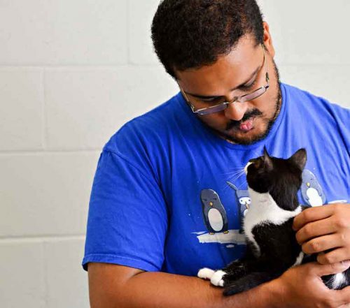 Kitty being held by man