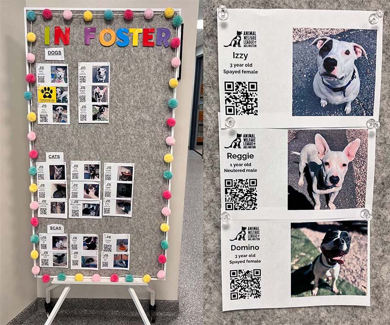 "In Foster" Bulletin Board with Pet Cards featuring QR codes - 10 Ways Shelters and Rescues Can Use QR Codes Today