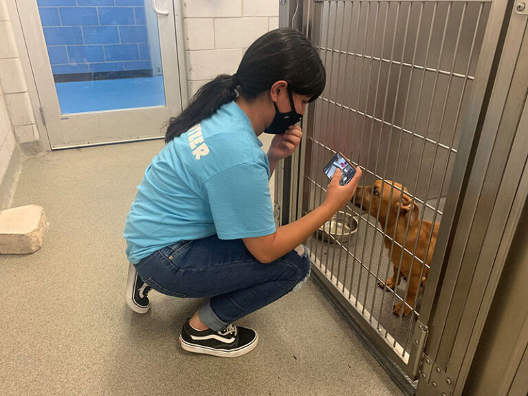 Furtographer taking a photo of a dog in the shelter