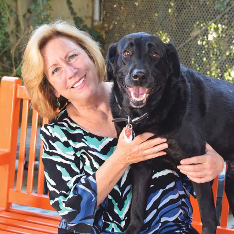 Gina Knepp - National Shelter Engagement Director for the Michelson Found Animals