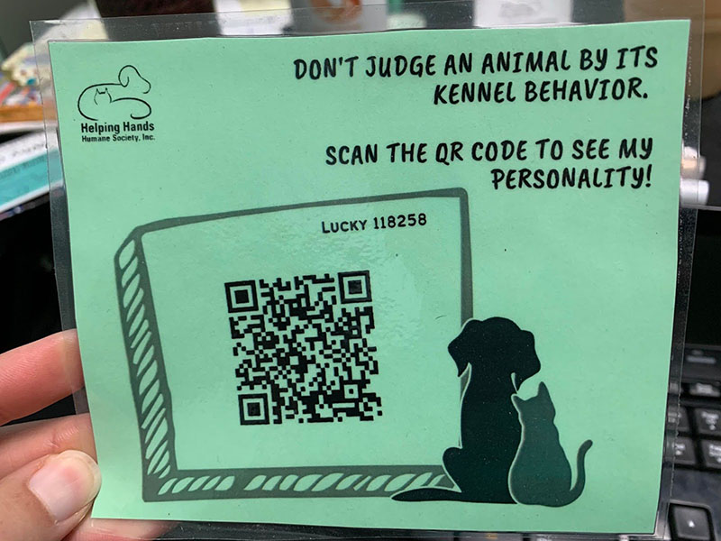 Kennel card that says "Don't judge an animal by its kennel behavior" and features a QR code. 