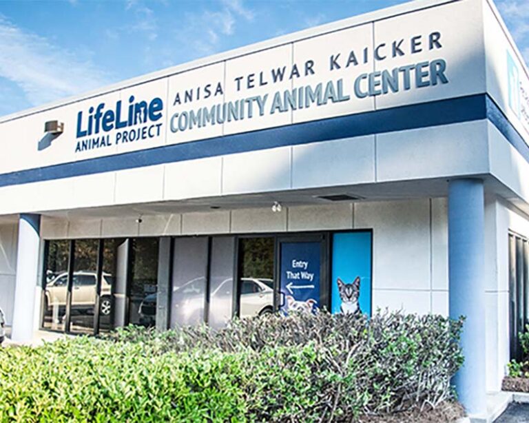 LifeLine Animal Project Building