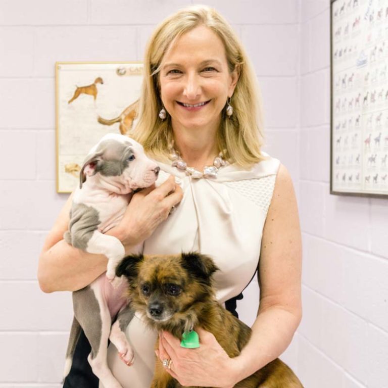 Lisa LaFontaine - President and Chief Executive Officer of the Humane Rescue Alliance