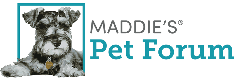 Maddie's Pet Forum
