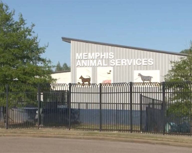 Memphis Animal Services Building