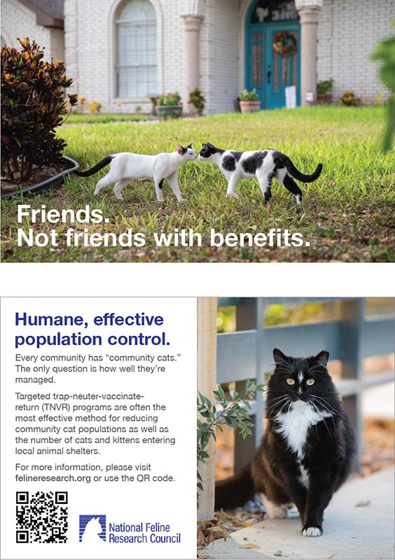 National Feline Research Council Post Cards - 10 Ways Shelters and Rescues Can Use QR Codes Today