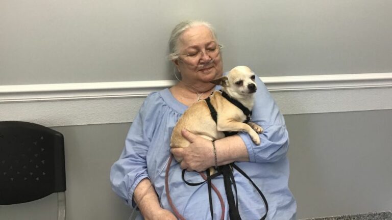 older-woman-holding-small-dog-These Innovators Are Working To Make Veterinary Care More Accessible To All