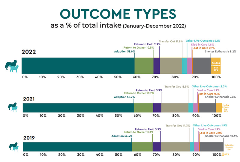 Outcome Types Diagram from Shelter Animals Count