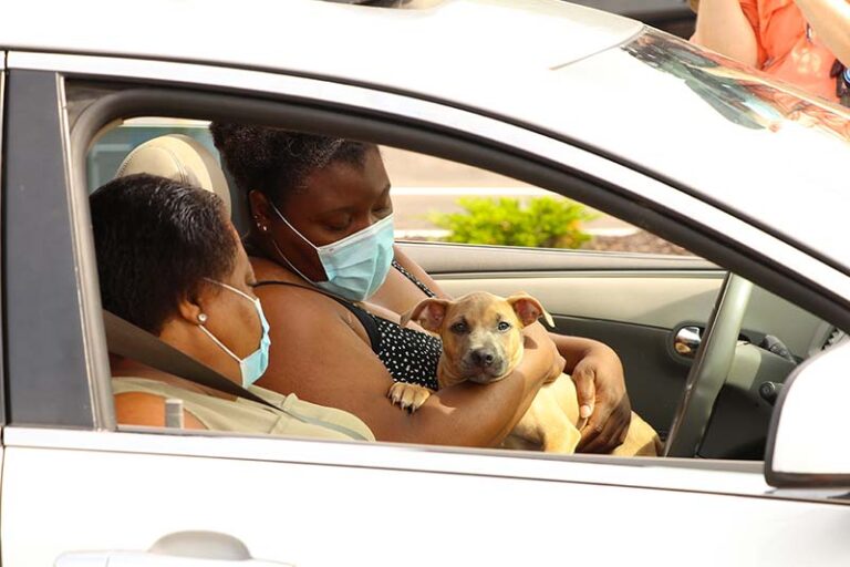 Two black women in a car holding a dog - Overcoming Adoption Barriers: Where Marketing Meets Policy