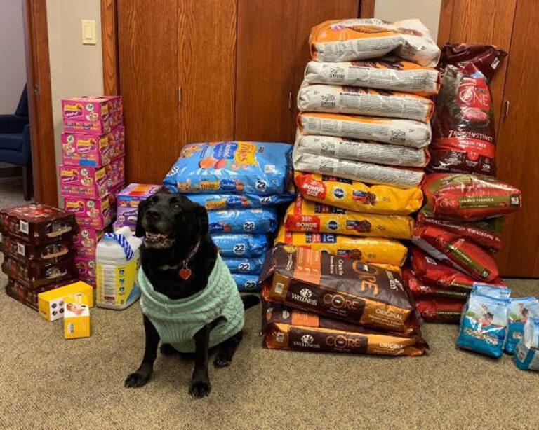 How to Start and Run a Pet Food Pantry