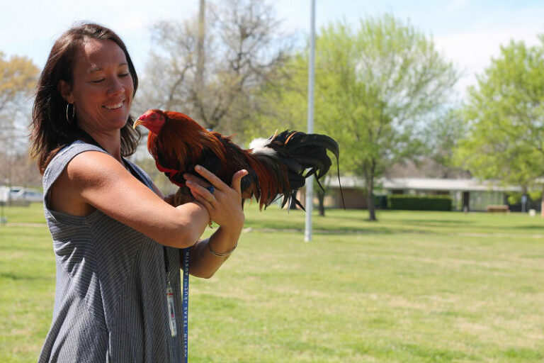 Kristen with a rooster