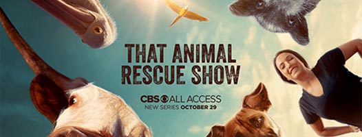 that animal rescue show CBS All Access