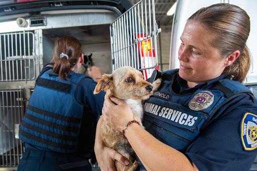 unnamed - An Animal Control Officer’s Lesson in Empathy