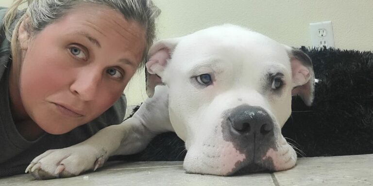 white-pittie-laying-next-to-someone-We Asked Animal Shelter Workers How They’re Staying Hopeful & Strong, This Hard Summer